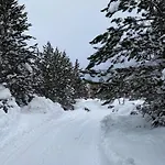 Vikendica Woodavenue