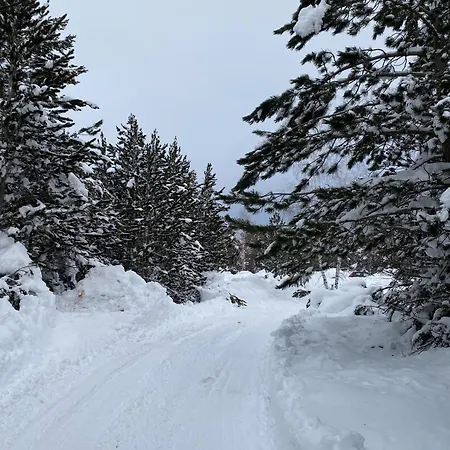 Vikendica Woodavenue
